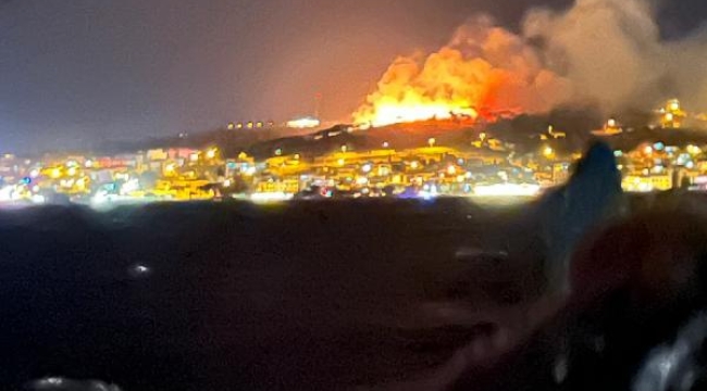 Ayvalık'ta Cennet Tepesi yakınlarında orman yangını