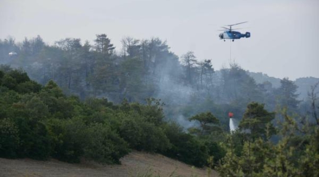 Çanakkale'deki orman yangını 16 saat sonra kontrol altında