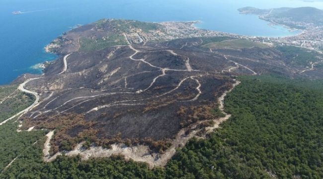 Felaket! 20 günde 295 yangın çıktı