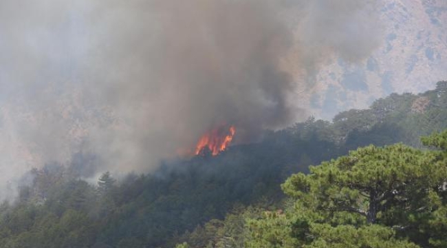 Muğla Valiliği'nden 'orman yangını' uyarısı