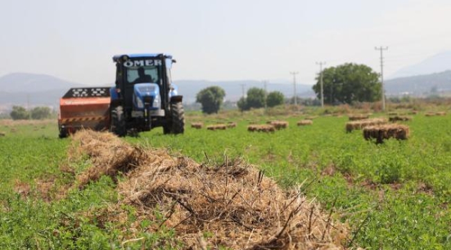 Muğla'da 434 dekar araziden elde edilen kaba yemler üreticiye dağıtılacak