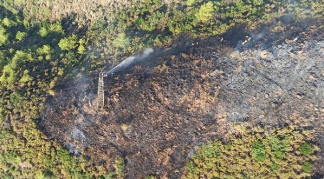 Muğla'da büyük yangınların yıl dönümünde orman yangını