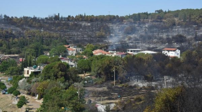 Sabotaj mı? Aliağa'daki orman yangınına 2 gözaltı