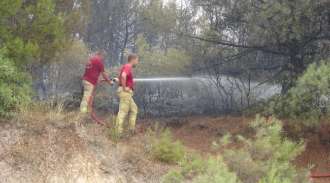 Çanakkale'de orman yangını; 2 saatte kontrol altında