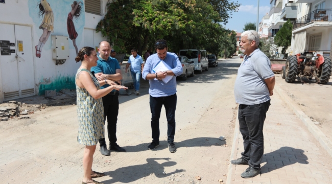 Selçuk'ta yollar, parklar ve aydınlatma direkleri yenileniyor