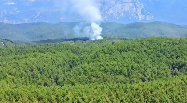 Ula'da orman yangını