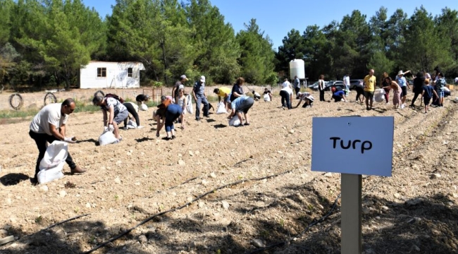 Bornova Belediyesi, kış için de yerel tohum bahçesi kurdu