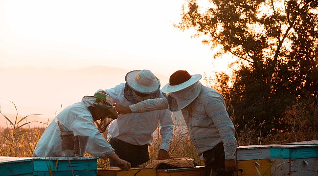 Bayraklı Belediyesinden yerel üreticiye kurs desteği