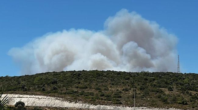 Çeşme'deki orman yangınına havadan ve karadan müdahale