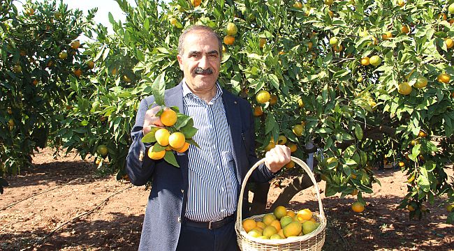 Ege Yaş Meyve Sebze İhracatçıları Birliği'nden çifte rekolte