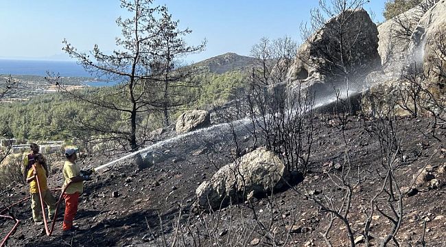 İzmir Urla'daki orman yangını kısmen kontrol altında