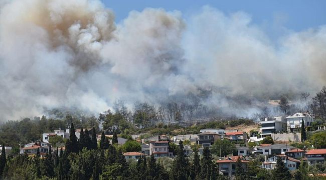 Urla ve Çeşme'de orman yangını