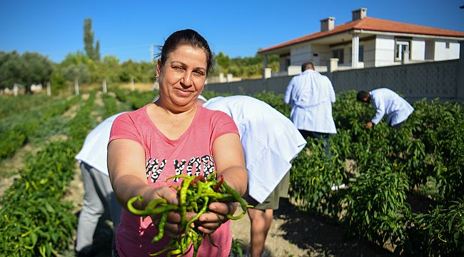 Bornova Belediyesi'nden yerel üreticilere tam destek