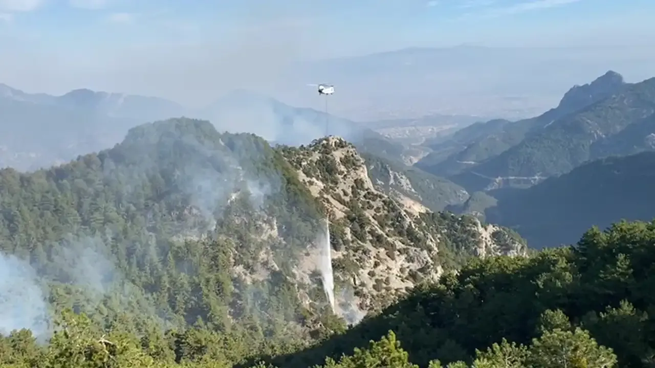 Denizli'deki orman yangını söndürüldü