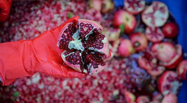 Aliağa'nın doğal çıtak nar ekşisi'nin öyküsü