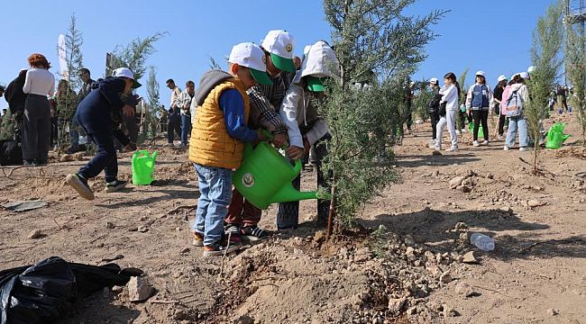 Büyük yangının ardından İzmir'de ilk fidanlar toprakla buluştu