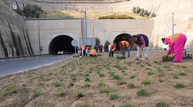 Kuraklığa karşı İzmir'in yeşil örtüsünde dönüşüm 