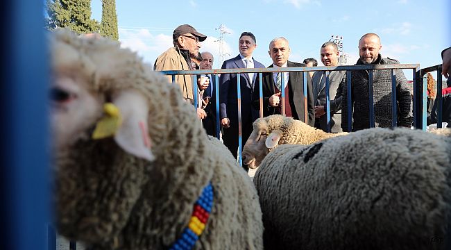 Aliağa Belediyesi'nden üreticilere koç desteği