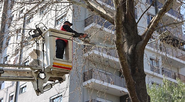 Bayraklı'da parklara kapsamlı bakım 