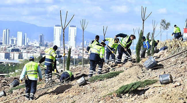 Başkan Tugay'ın başlattığı ağaçlandırma seferberliği sürüyor