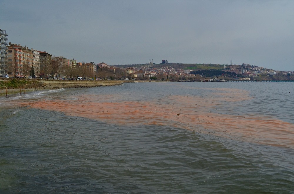 Marmara Denizi turuncuya boyandı