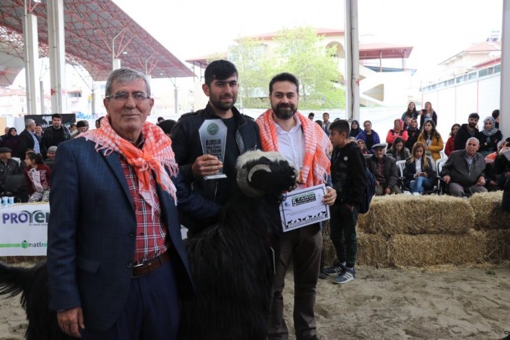 Burdur’da defile gibi `hayvan güzellik` yarışması