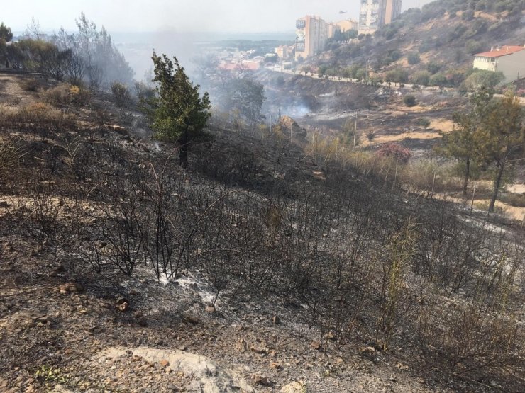 İzmir’de orman yangını eve sıçradı