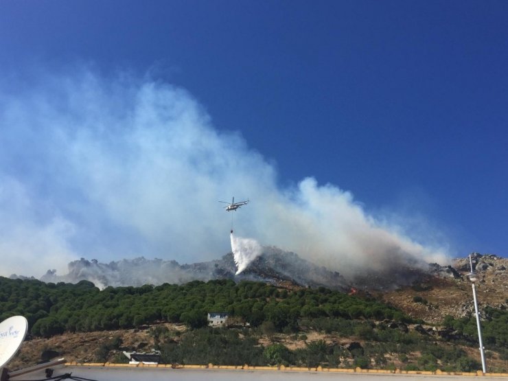 Marmara Adası’nda yangın tekrar başladı