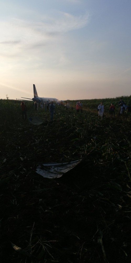 Motorlarına kuş girdi: Uçak acil iniş yaptı