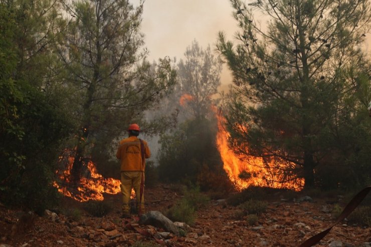 Başkan: Orman yangınlarında sabotaj ihtimali araştırılsın
