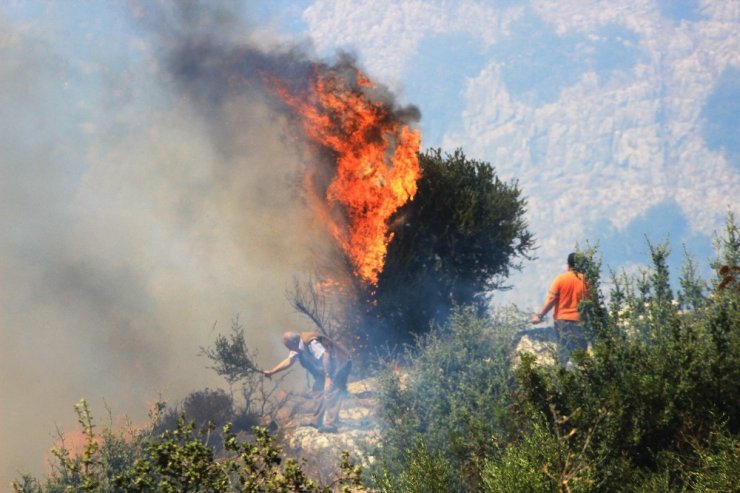 Başkan: Orman yangınlarında sabotaj ihtimali araştırılsın