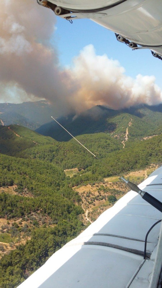 İzmir’de orman yangınları büyüdü, iki köy boşaltılıyor