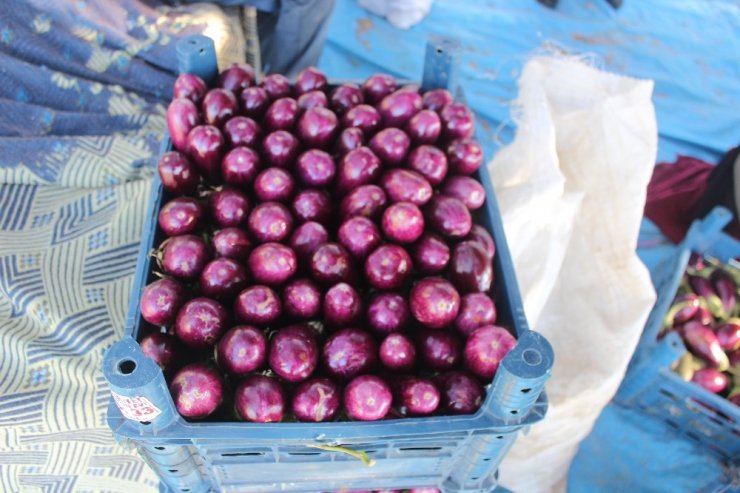 Patlıcan tarlada 25 kuruş. pazarda 1.5 lira