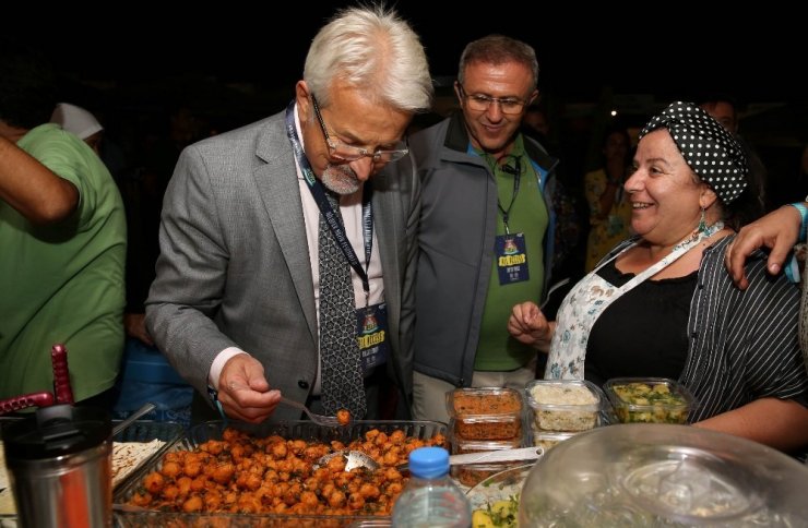 Nilüfer Müzik Festivali başladı