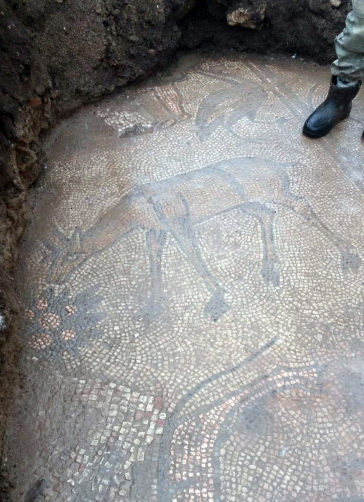1500 yıllık mozaik, kaçak yapıyla gün yüzüne çıktı