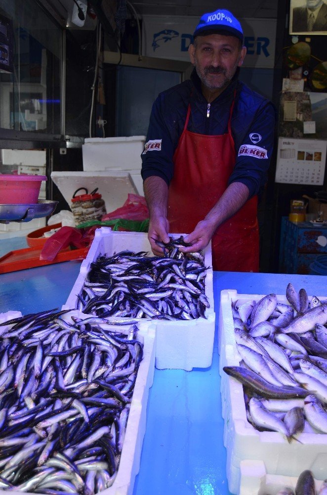 Hava şartları hamsi fiyatlarını vurdu: 25 TL