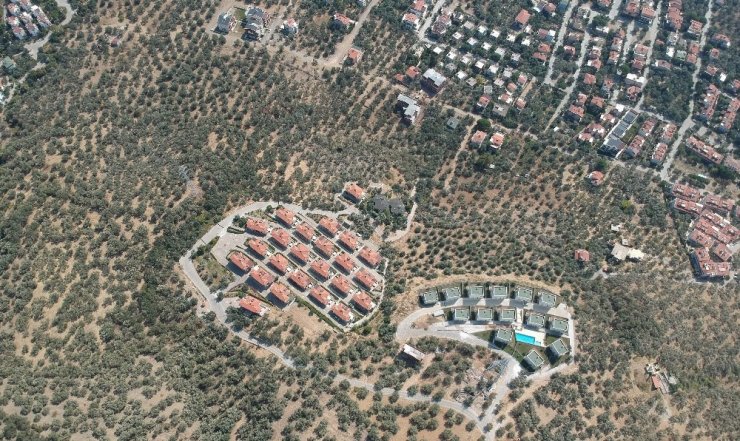 Kazdağları’nda 2,5 milyon zeytin ağacı villa alanı için kesildi!