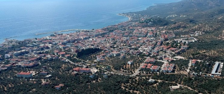 Kazdağları’nda 2,5 milyon zeytin ağacı villa alanı için kesildi!