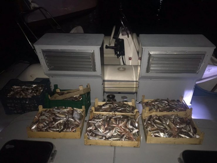 Kaçak balık avcılarını da o avlıyor