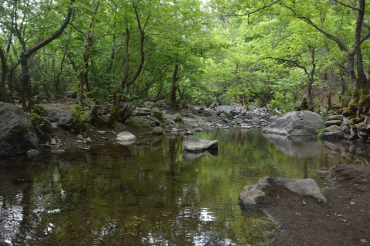 Uçansu Şelalesi keşfedilmeyi bekliyor
